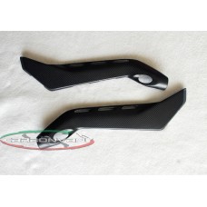 Carbonvani - Ducati Panigale V4 / S / R / Speciale Carbon Fiber Underseat Frame Covers (18-24)